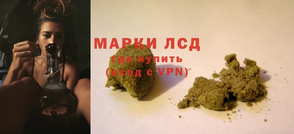 гидропоника Санкт-Петербург