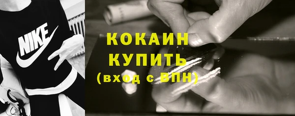 стафф Новосибирск