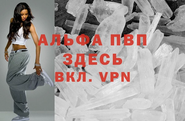стафф Новосибирск