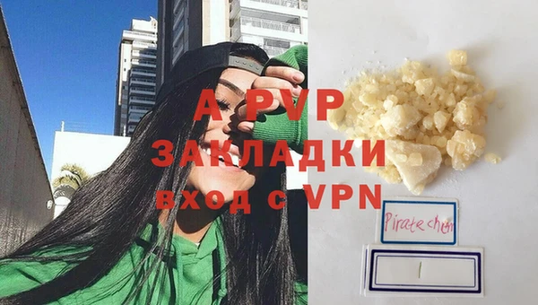 apvp Гусиноозёрск