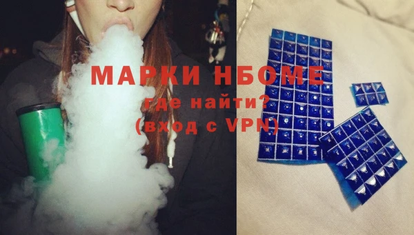 стафф Новосибирск