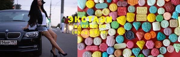 стафф Новосибирск